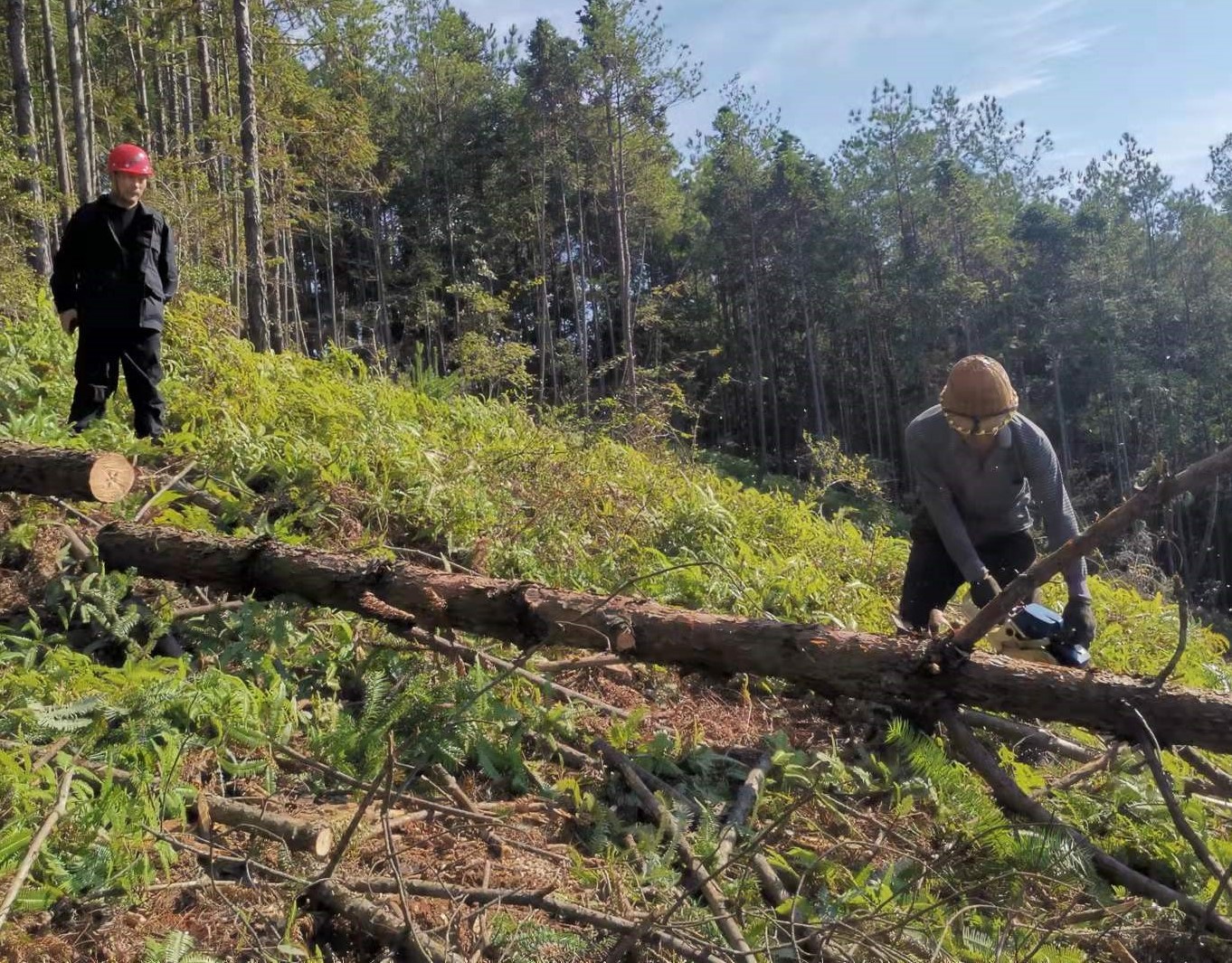 筑牢安全防線，守護(hù)一方平安 ——將溪分公司安全生產(chǎn)工作紀(jì)實(shí)