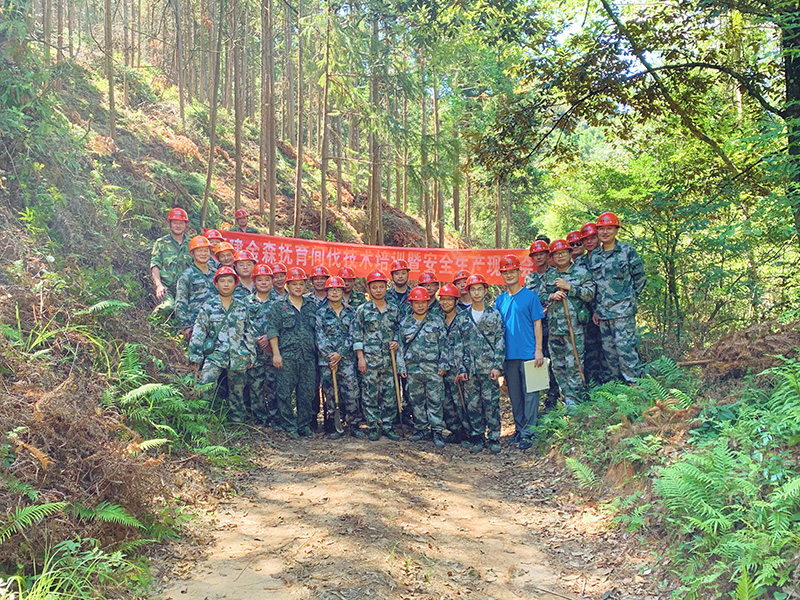 嚴(yán)把森林培育質(zhì)量關(guān)，譜寫資源培育新篇章