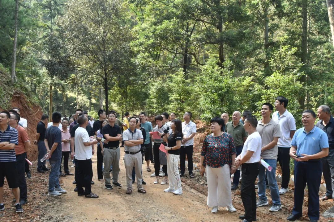 琵琶丘工區(qū)：三明市森林質(zhì)量精準提升工程業(yè)務(wù)培訓(xùn)現(xiàn)場示范