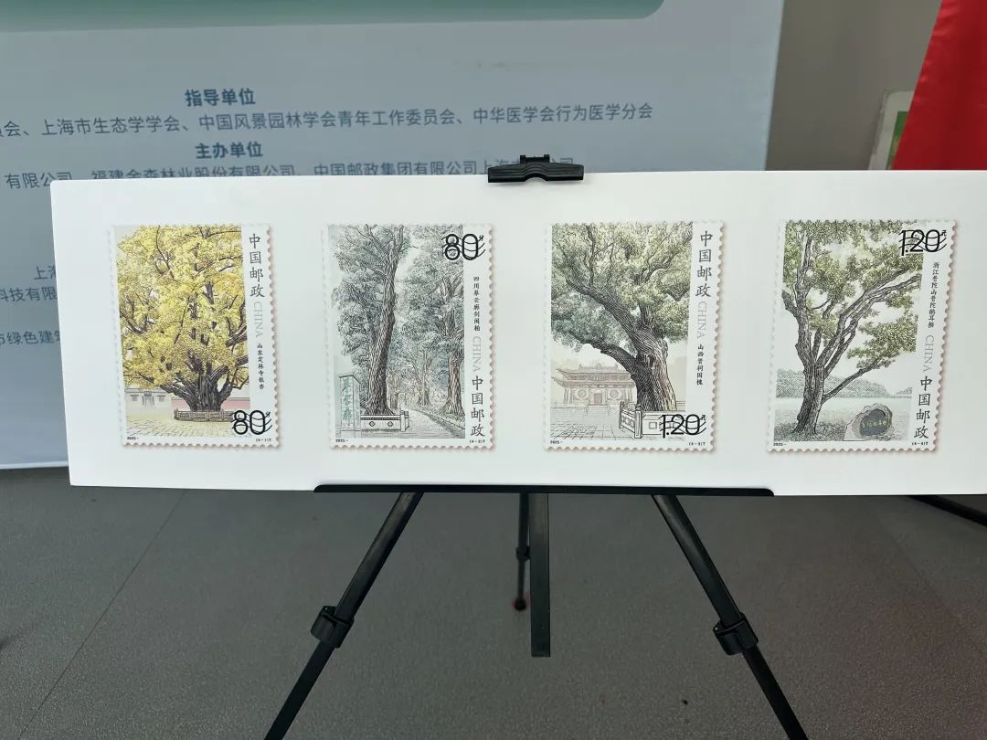 全國生態(tài)日來了！福建金森攜手舉辦上海“山海同普·杏好有你”活動